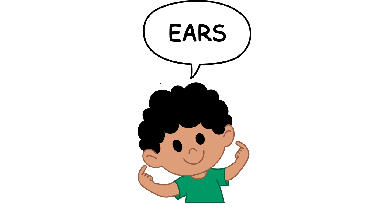 Ears