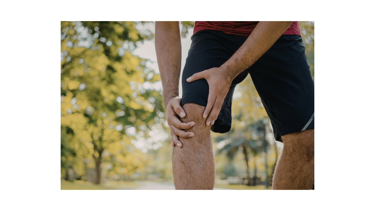 Knee