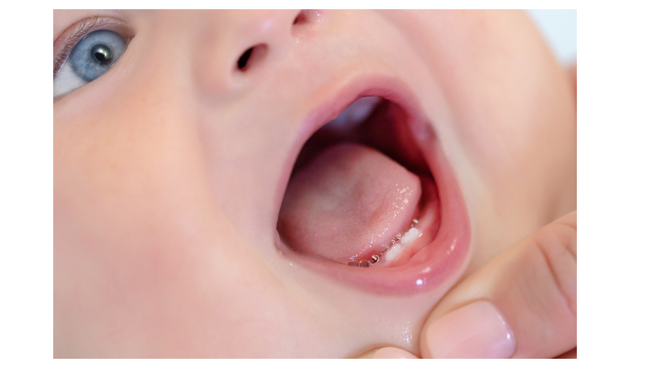 Mouth